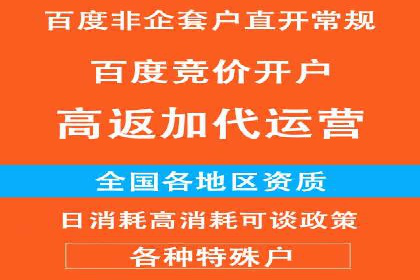 竞价广告赚钱秘籍：百度实战案例